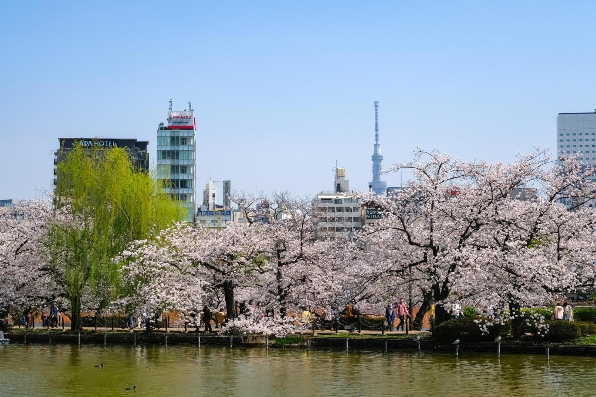 Stayme The Hotel Ueno Tokyo Eksteriør bilde